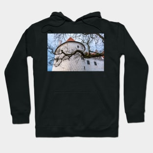 Naked tree branch before the tower of Bauska Castle Hoodie